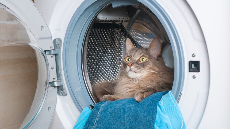 Снимка: iStock