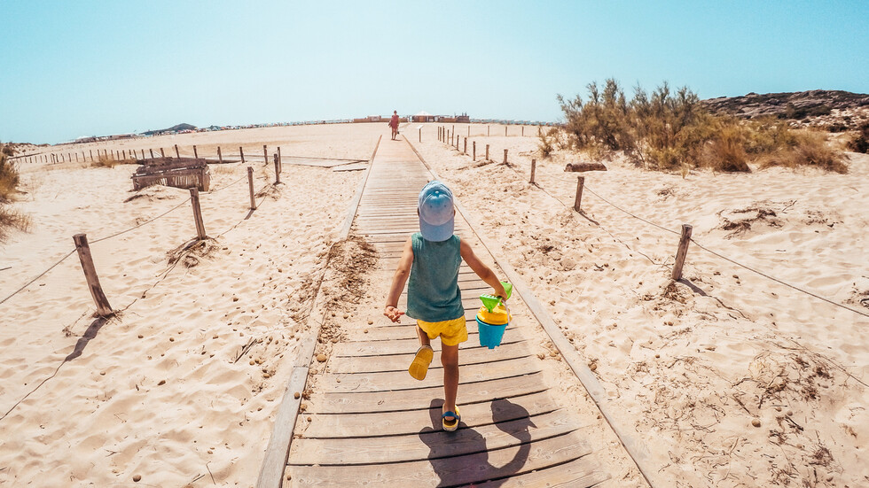 Снимка: iStock