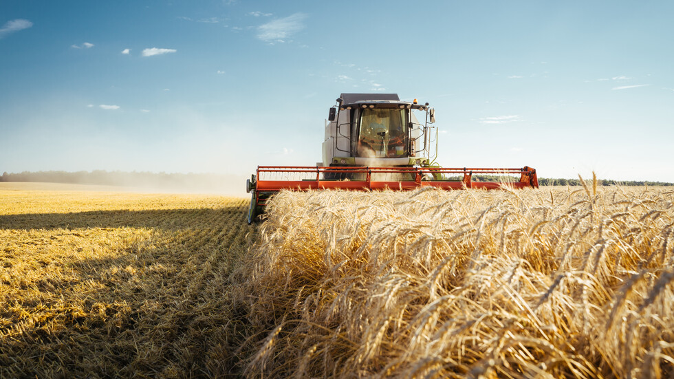 Снимка: iStock
