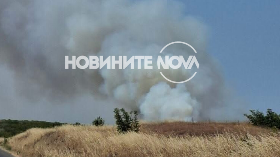 Снимка: Цеца Алексова, NOVA