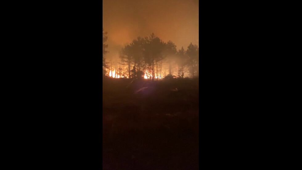 Видео: "Ройтерс"