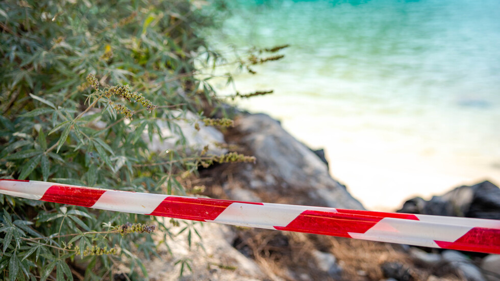 Снимка: iStock