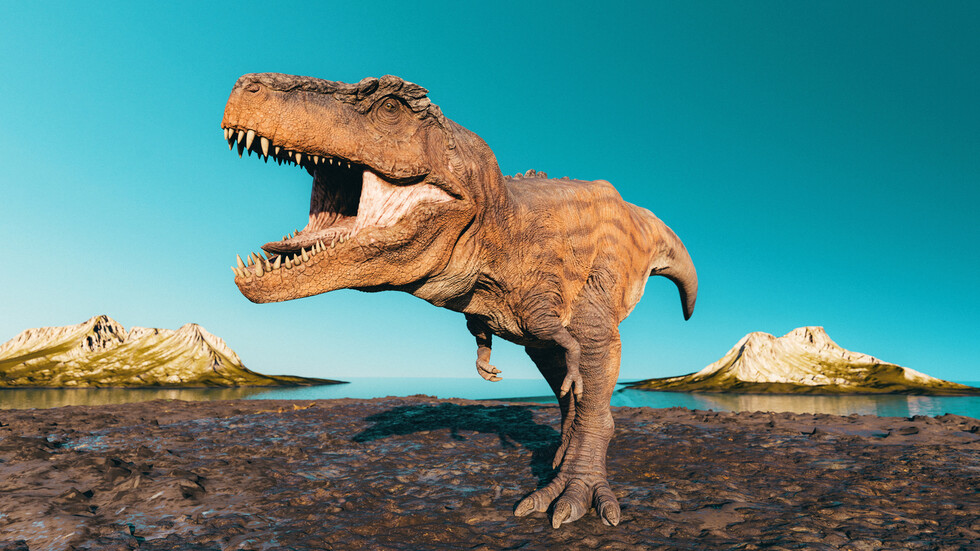 Снимка: iStock