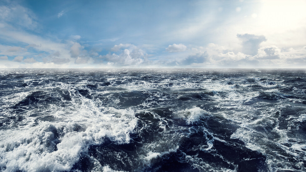 Снимка: iStock