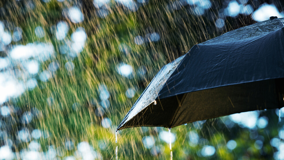 Снимка: iStock