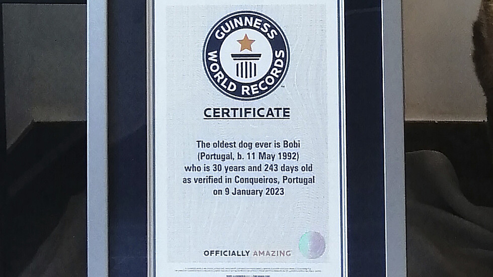 Снимка: АП/Guinness World Records, БТА