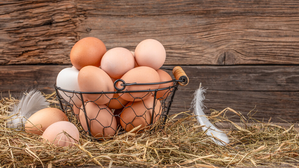 Снимка: iStock