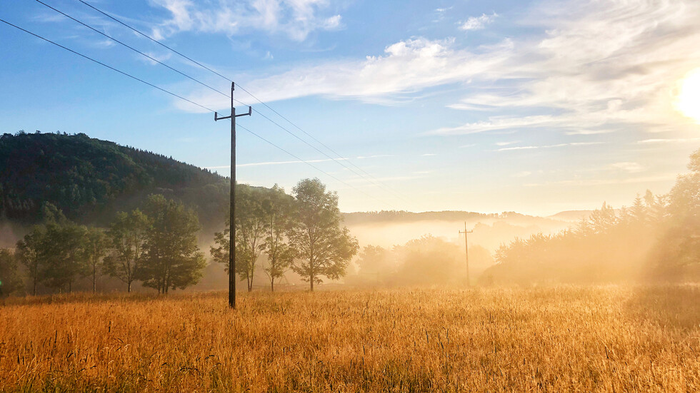 Снимка: iStock