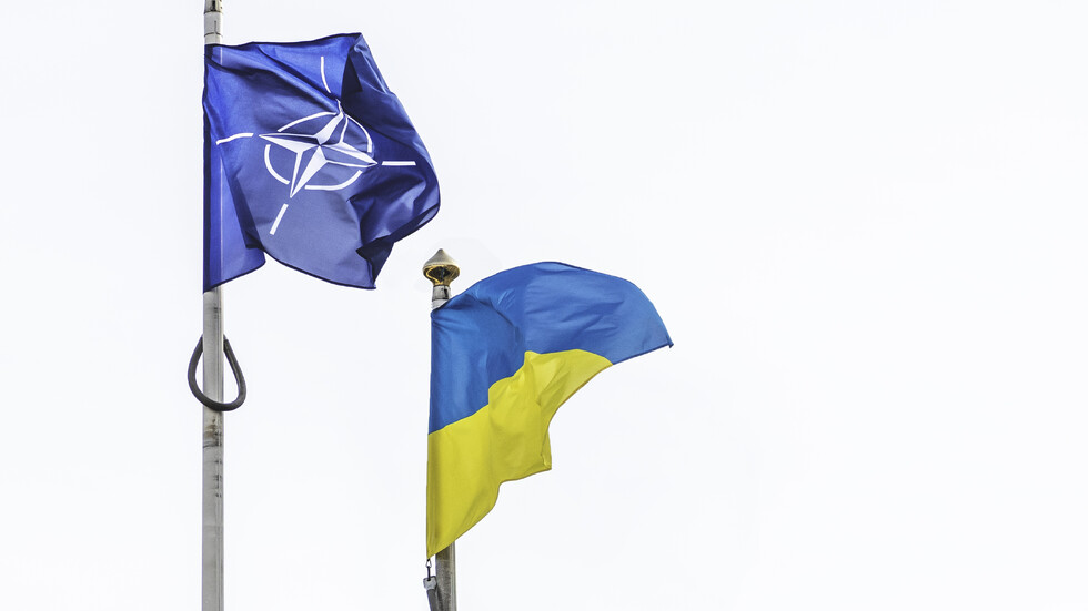 Снимка: iStock
