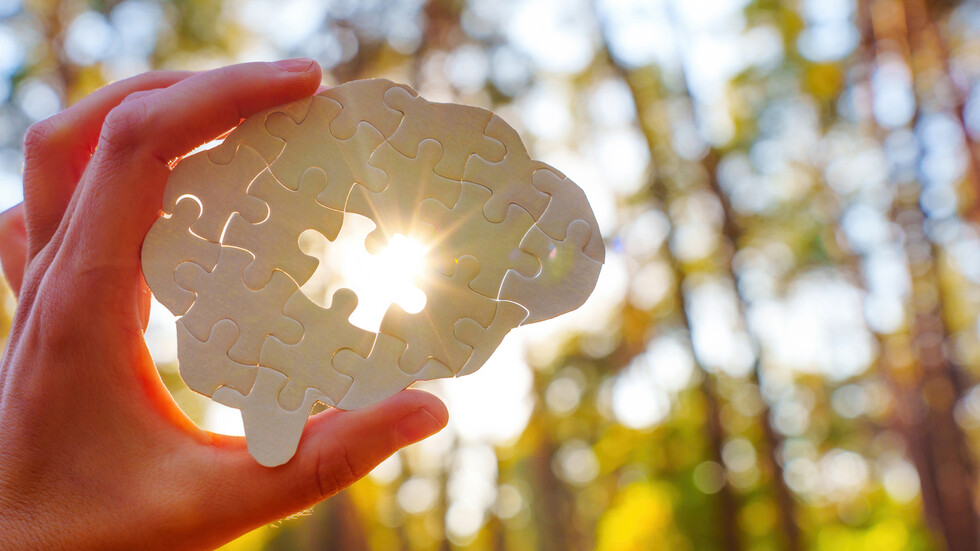 Снимка: iStock