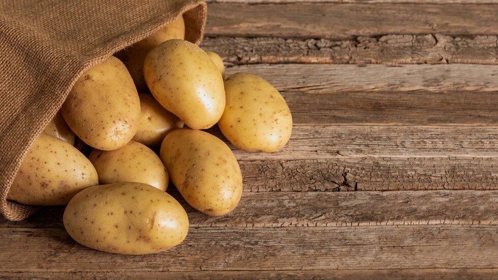 Снимка: iStock