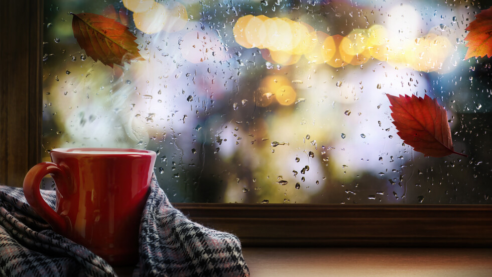Снимка: iStock