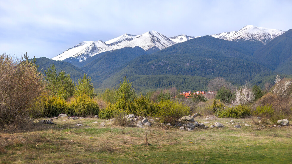 Снимка: iStock, илюстративна