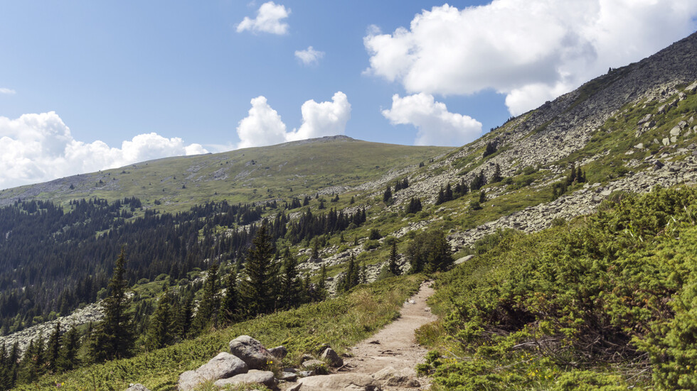 Снимка: iStock