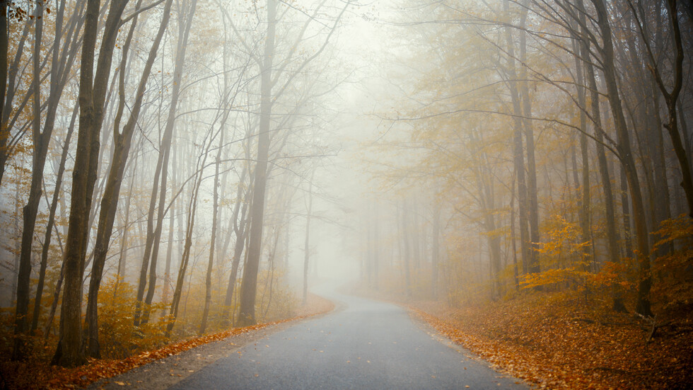 Снимка: iStock