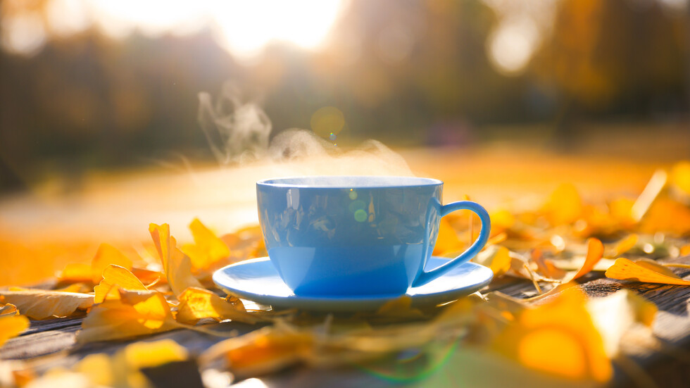 Снимка: iStock