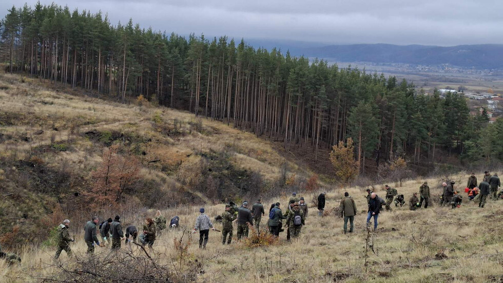 Снимка: ЮЗДП