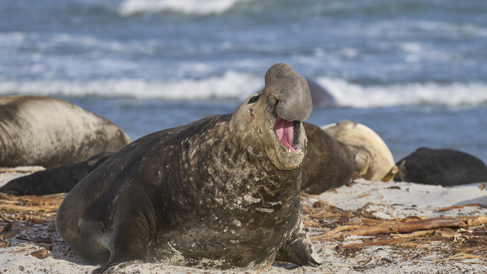 Снимка: iStock