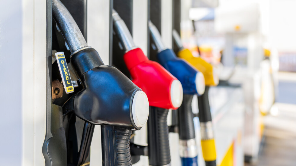 Снимка: iStock