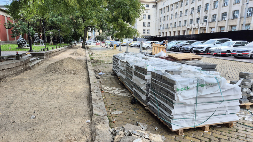 Снимка: БГНЕС