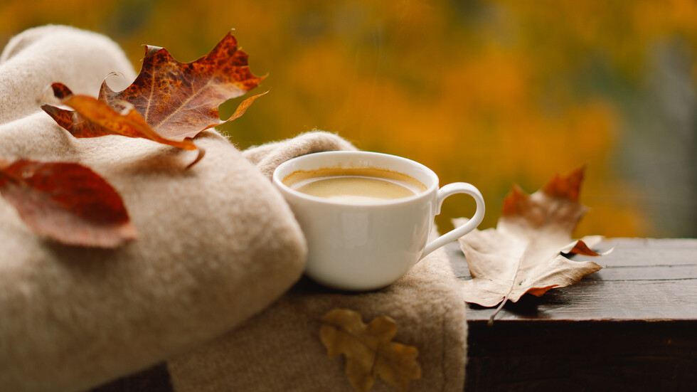 Снимка: iStock