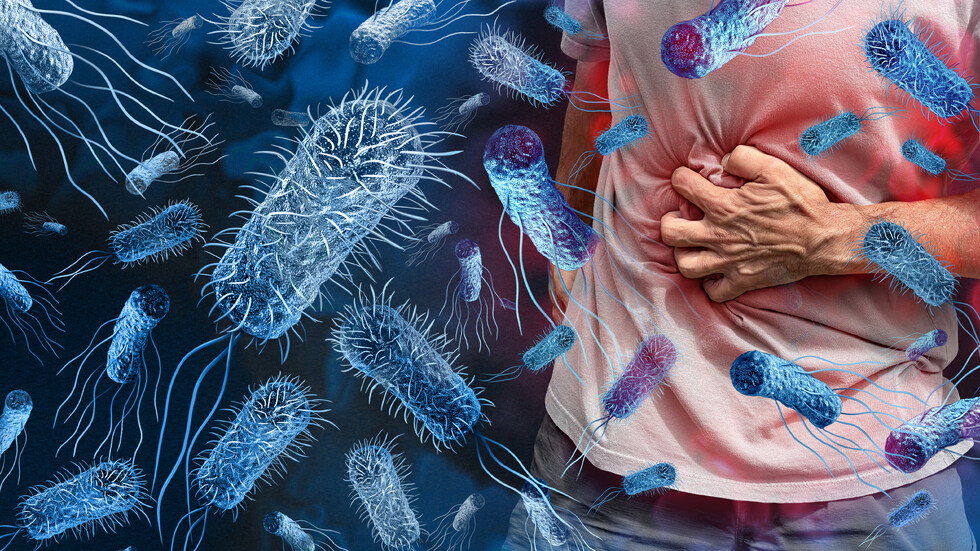 Снимка: iStock