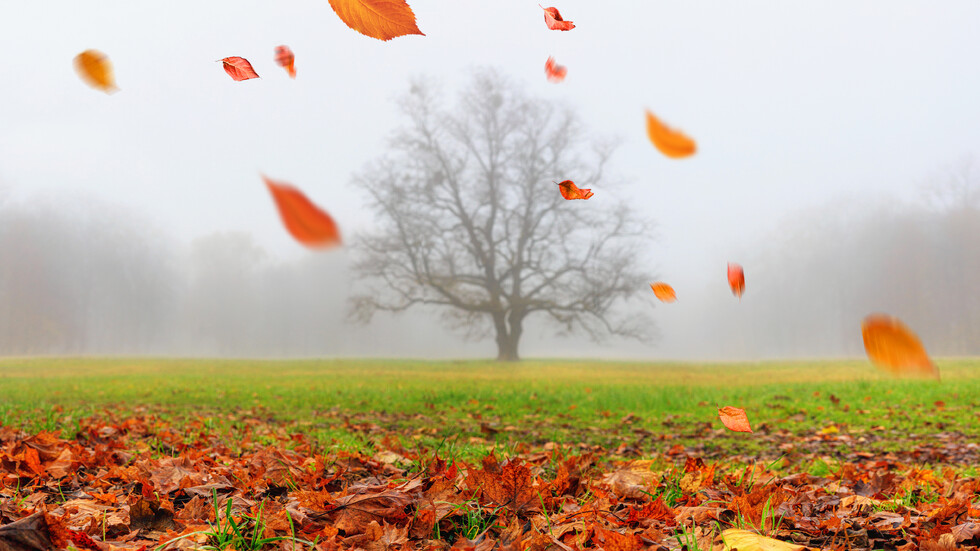 Снимка: iStock