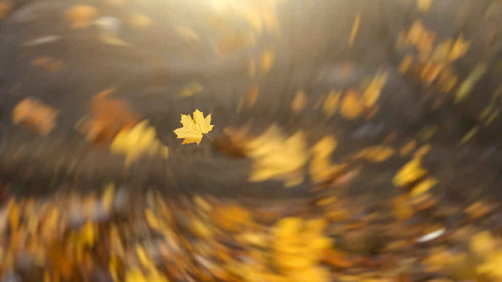 Снимка: iStock