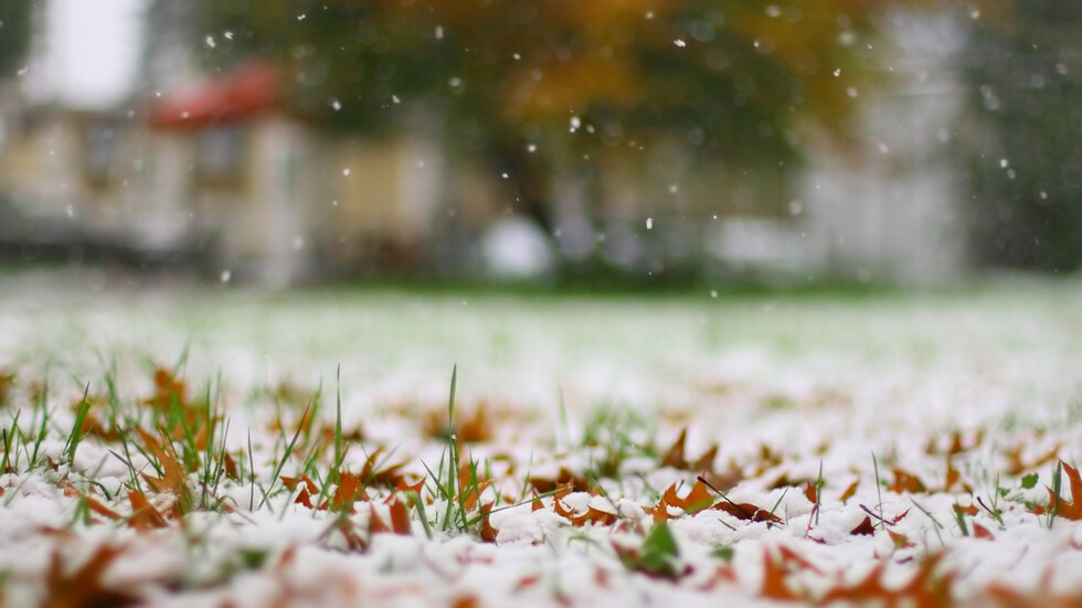 Снимка: iStock