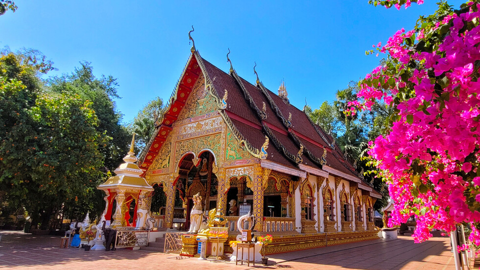 Снимка: iStock