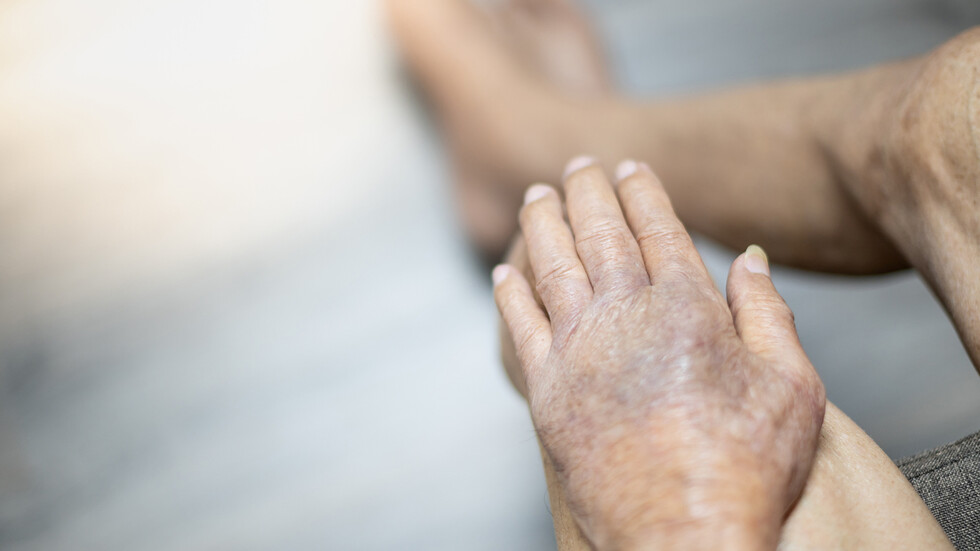 Снимка: iStock