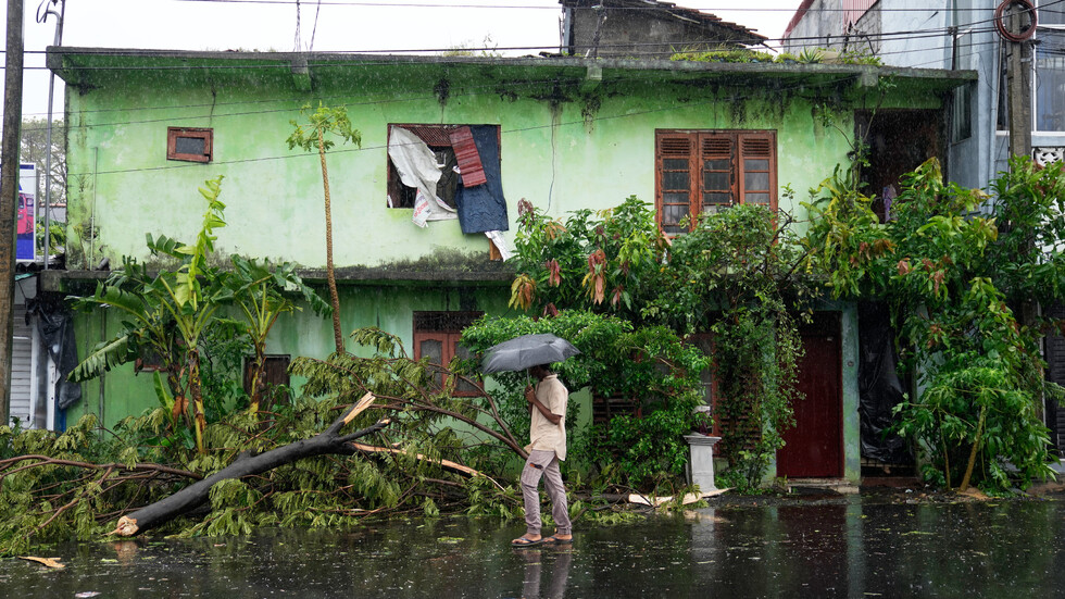 Снимка: БТА/ АП
