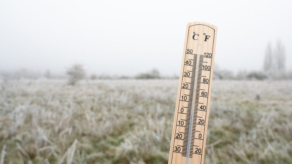 Снимка: iStock