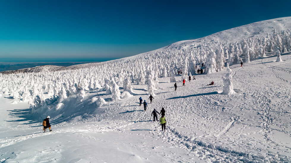 Снимка: iStock