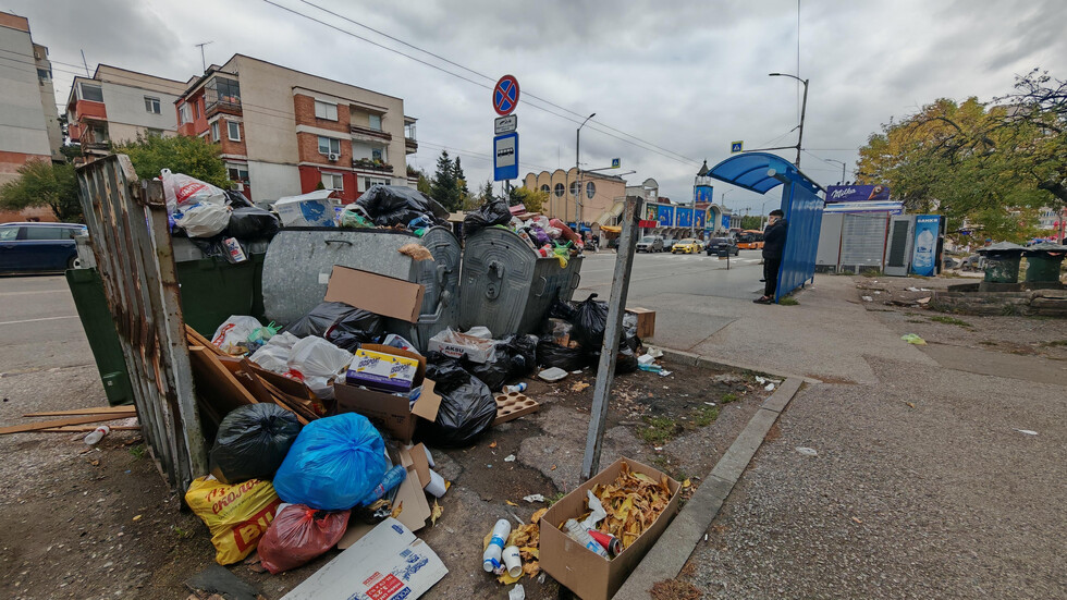 Снимка: БГНЕС