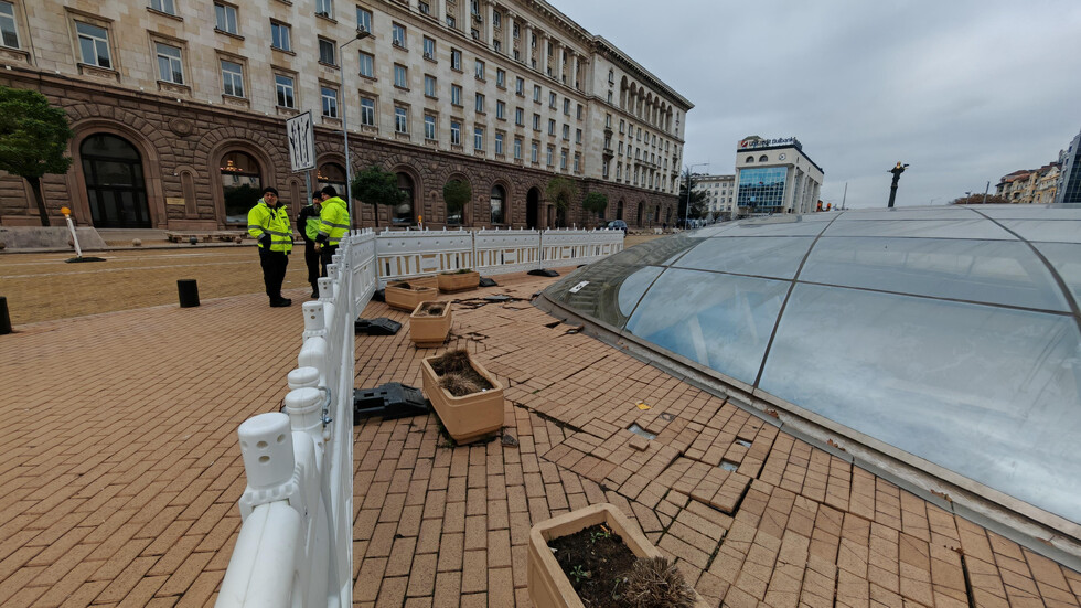 Снимка: БГНЕС