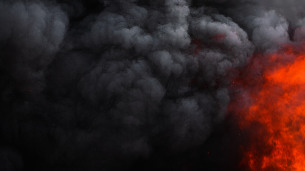 Снимка: iStock