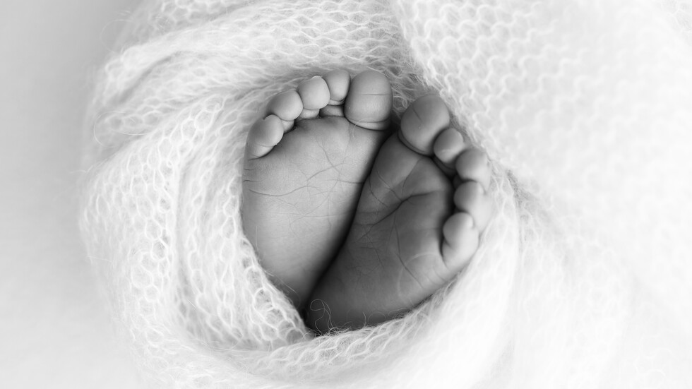 Снимка: iStock