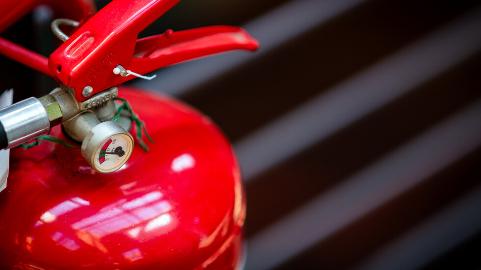 Снимка: iStock