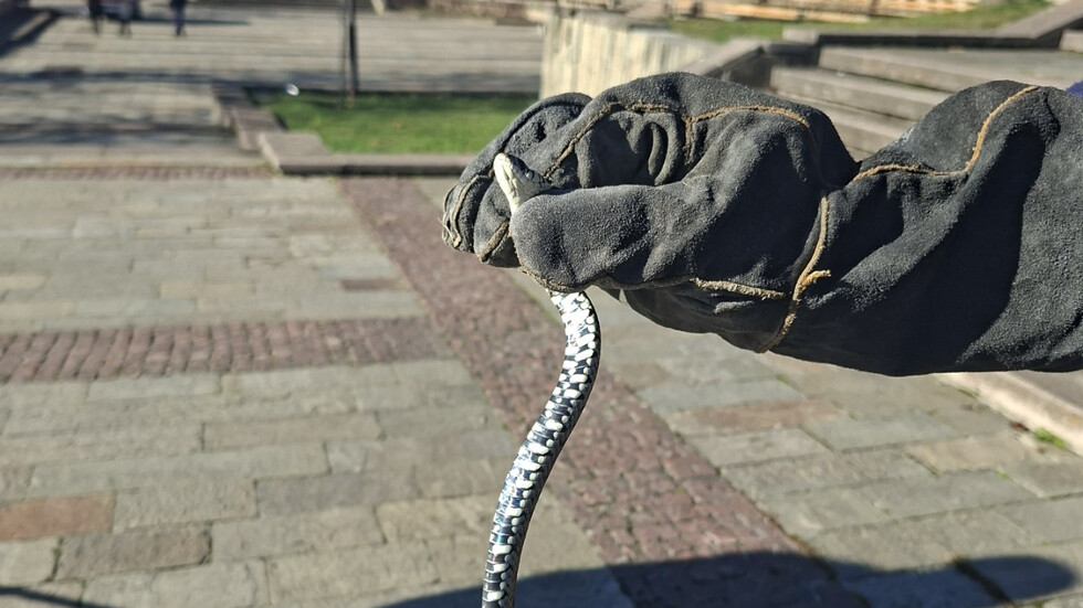 Снимка: Адриан Петров