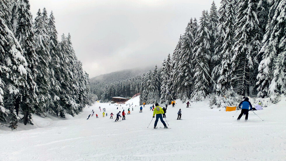 Снимка: iStock