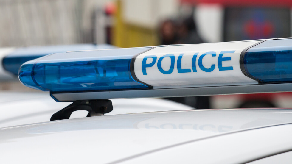 Домашен питбул нахапа две деца в Бургас