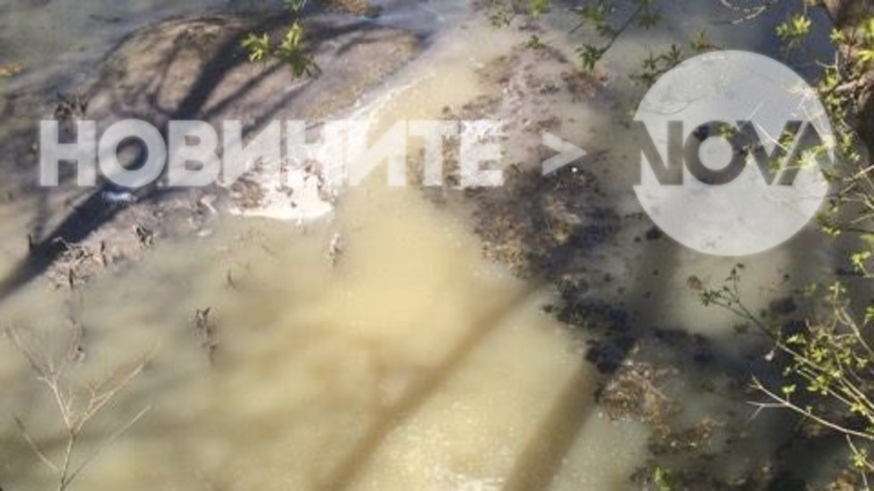 Фекални води се изливат в река Тунджа в центъра на Ямбол (ВИДЕО+СНИМКИ)