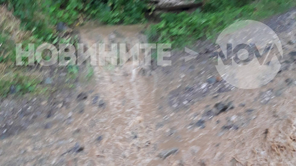 Елитният квартал Бояна