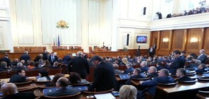 Отцепниците от БДЦ се отказаха да напускат парламентарната си група