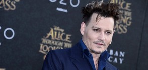 Джони Деп продава на търг колекцията си от картини на Баския