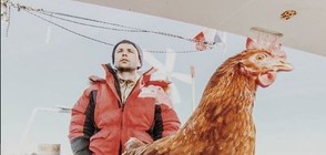 Французин обикаля с кокошката си по море (ВИДЕО+СНИМКИ)