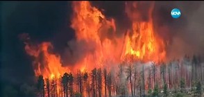 Евакуация в Аризона заради голям горски пожар