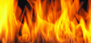 Евакуираха десетки заради пожар в Пловдив
