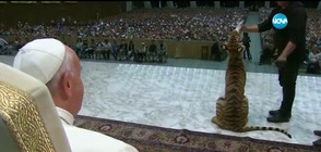 Папа Франциск се изправи лице в лице с тигър (ВИДЕО)